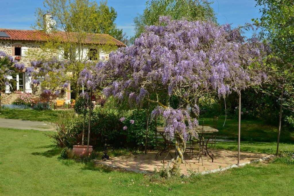 Bed and Breakfast La Frapperie à La Pommeraie-sur-Sèvre Extérieur photo
