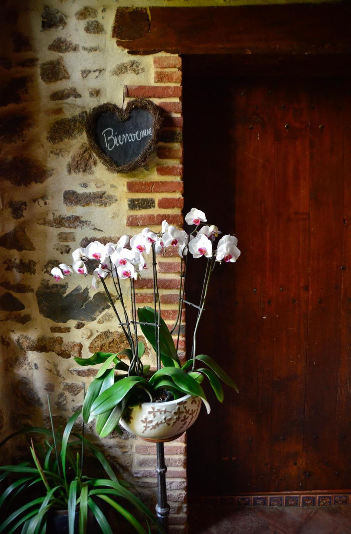 Bed and Breakfast La Frapperie à La Pommeraie-sur-Sèvre Extérieur photo